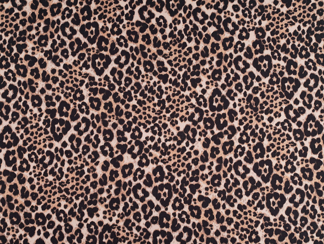 Leopard Denim